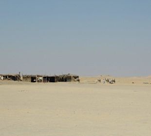 Safari Land Badawya Hurghada