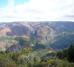Waimea Canyon