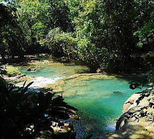 Blick von den Y.S. Falls