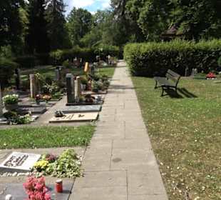 Friedhof