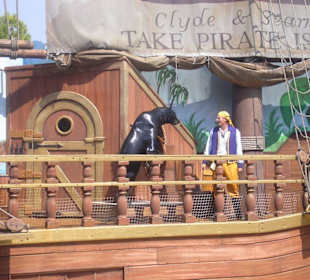 Clyde und Seamore Show