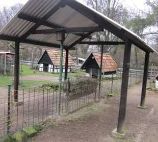 Tierpark Bad Schönborn
