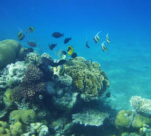 Riff am Hotel Hyatt Regency Taba Heights