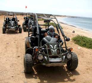 Buggy Tour