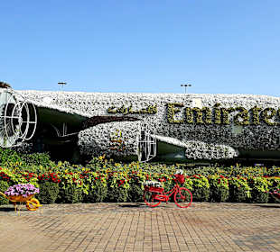 Miracle Garden