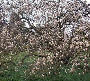 Sichtungsgarten Hermannshof