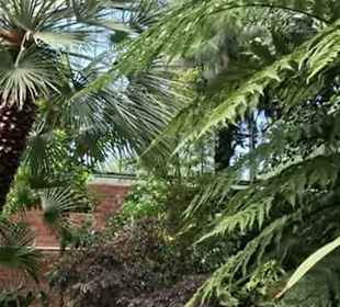 Flora und Botanischer Garten