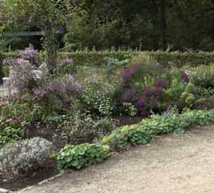 Rosengarten im Tiergarten