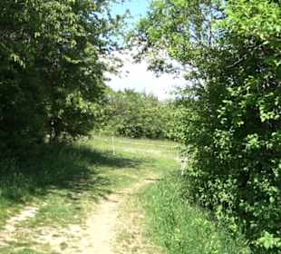 Wanderweg Sieben-Täler-Runde 