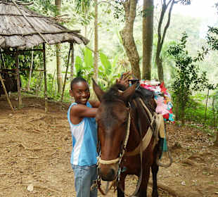 Pferdestation mit Guide