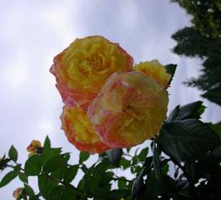 Na ist doch was.....