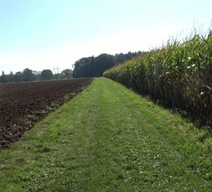 Kelten-Erlebnis-Pfad Erkenbrechtsweiler