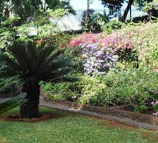 Quinta Vigia