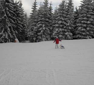 Kreuzung Rodelstrecke mit Himmelsleiter