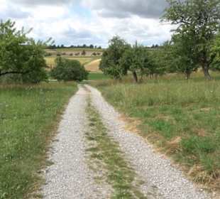 Wanderweg Ammerbucher Gigeleswegle