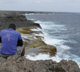 Bitcho genießt die Insel...