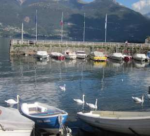 Colico am Hafen