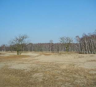 Wunderschöne Boberger Niederung