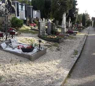 Haupt- und Waldfriedhof