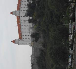 Blick auf die Burg von der Donaubrücke