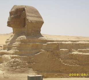 Sphinx