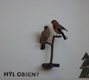 Národní zemědělské muzeum