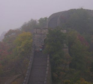 Mysterious in the mists