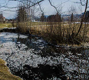 Der Park hinter dem Hotel.