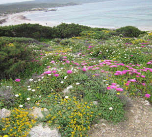 Sardische Strandimpressionen