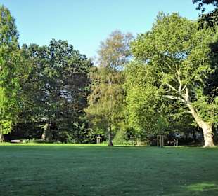 Spaziergang durch den Stadtpark Lübeck