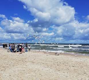 Strand Ahlbeck