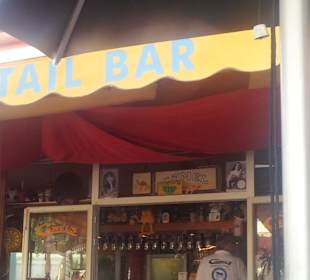 Bar Camel