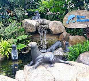 Riverwonders am Zoo