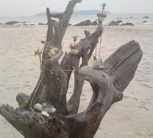 Liebevolle Deko am Lokal