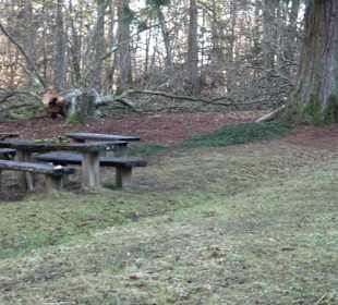 Ochsenweiher Rundweg
