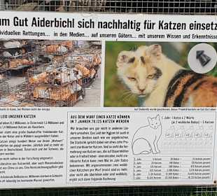 Tiergeschichten