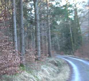 Ochsenweiher Rundweg