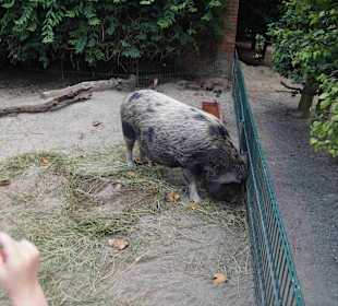 Tierpark Hagenbeck