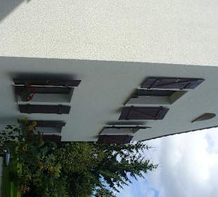 Pijalnia Wód - Palmiarnia