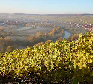 Aussichtspunkt terroir f