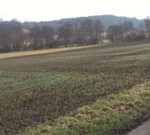 Rundwanderung durch den Rauhen Rammert Hemmendorf