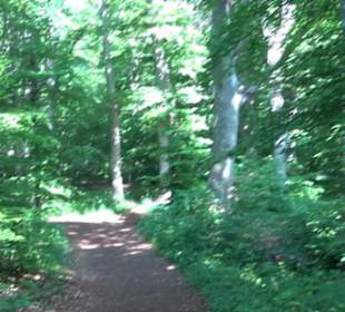 Premiumwanderweg "hochgelegen"