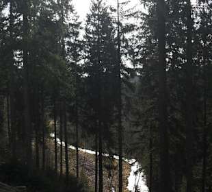 Blick auf den Perlebach