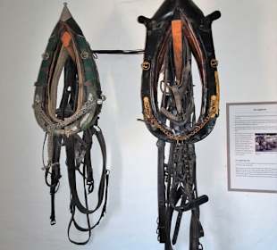 Geschirr der Brauereipferde