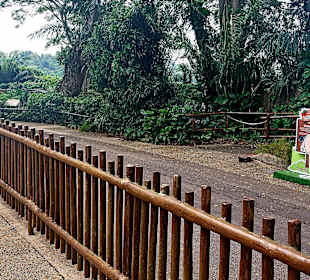 Singapur Zoo