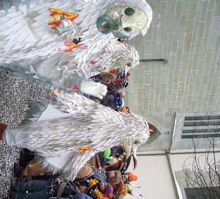 Masopust-bílí ptáci