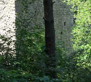 Burg Hohenerpfingen Erpfingen