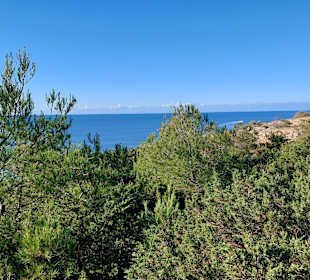 Seven Hanging Valleys Trail 