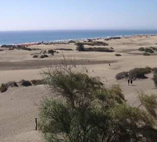 Dünen von Maspalomas