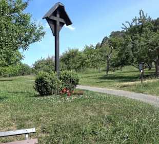 Naturschutzgebiet Hirschauer Berg